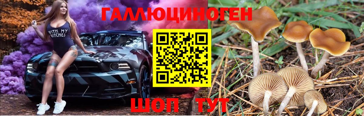 Галлюциногенные грибы MAGIC MUSHROOMS Одинцово