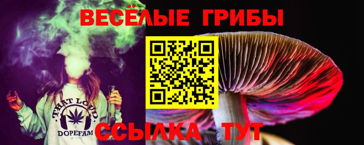 Галлюциногенные грибы Magic Shrooms  Вход с VPN  Галлюциногенные грибы мицелий  Одинцово 